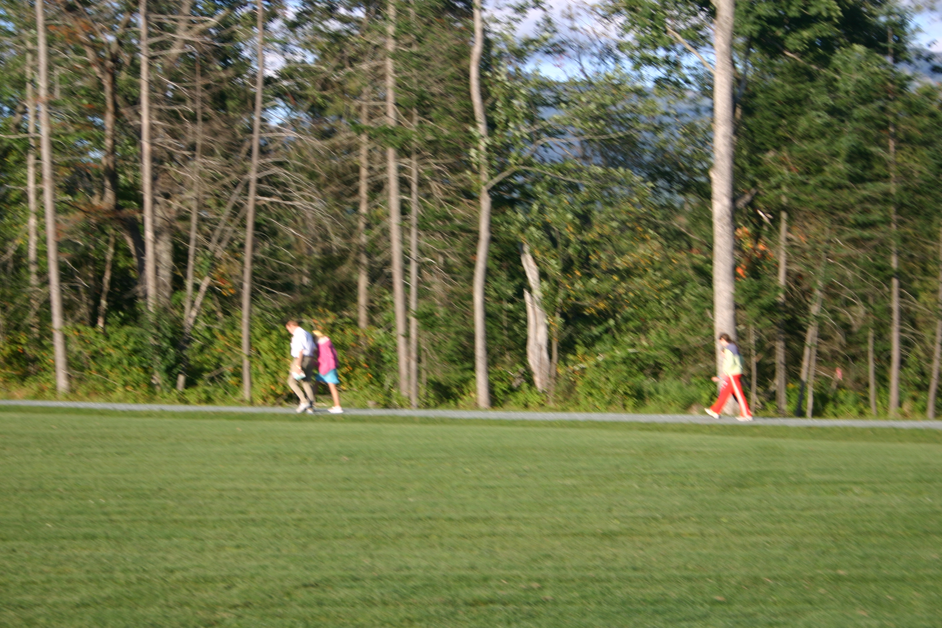 picture 24.